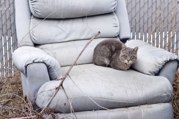 Recliner Disposal in Yuba City